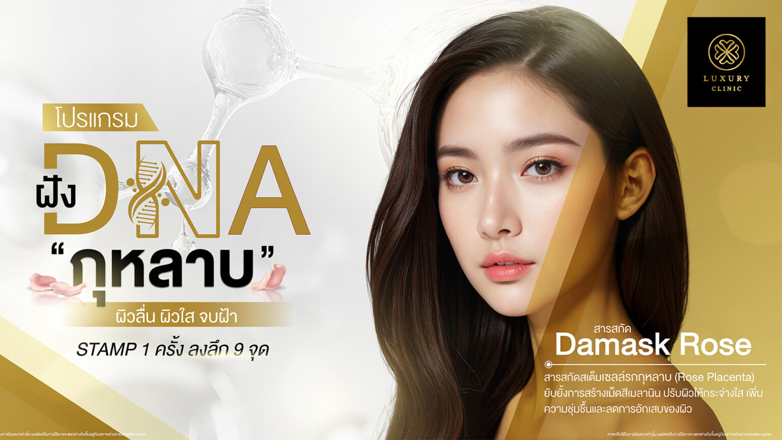 Program DNA กุหลาบ