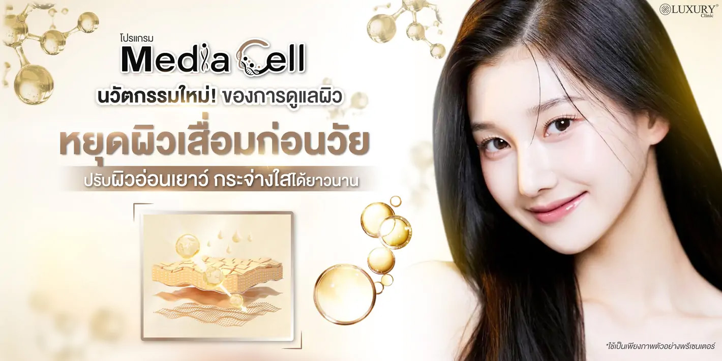 Media Cell